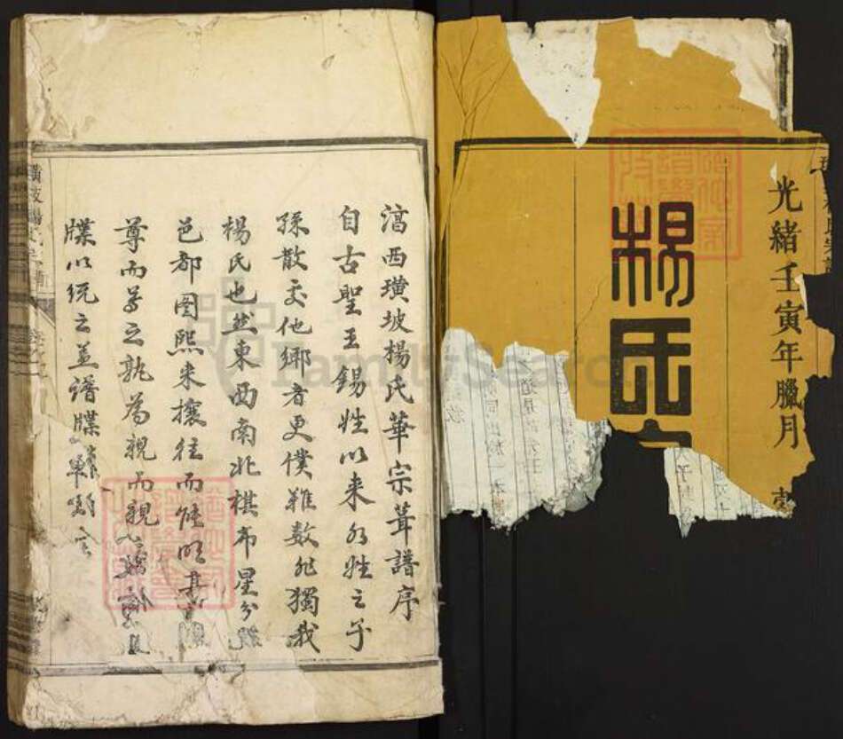 江西省吉安市新干县潭丘乡杨氏族谱-璜坡杨氏宗谱.pdf电子版预览图1