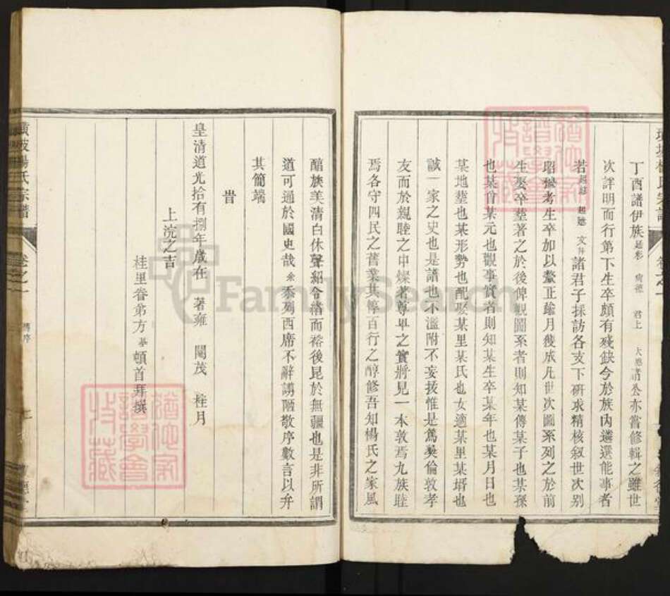 江西省吉安市新干县潭丘乡杨氏族谱-璜坡杨氏宗谱.pdf电子版预览图5