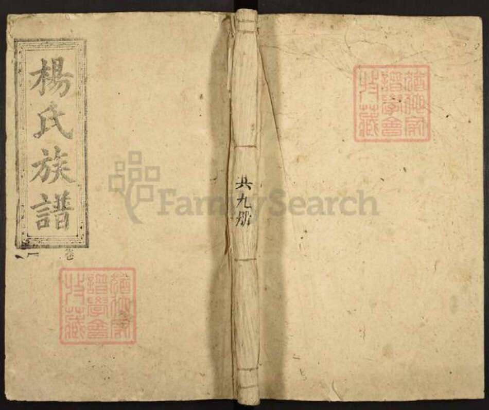 湖南省郴州市宜章县杨氏族谱-宜邑杨氏族谱.pdf电子版缩略图