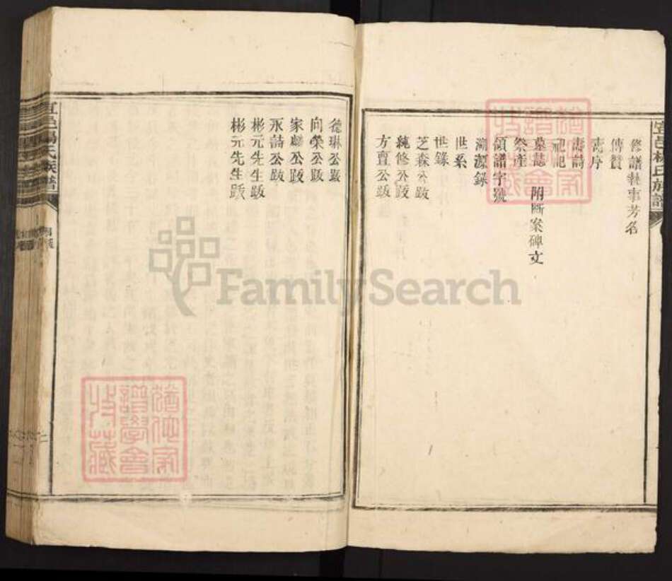 湖南省郴州市宜章县杨氏族谱-宜邑杨氏族谱.pdf电子版预览图2