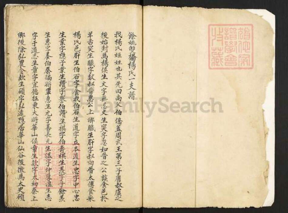 浙江省宁波市余姚市区泗门镇杨氏族谱-双桥杨氏一支谱.pdf电子版预览图1