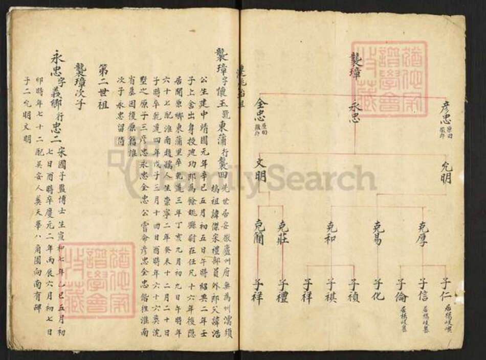 浙江省宁波市余姚市区泗门镇杨氏族谱-双桥杨氏一支谱.pdf电子版预览图3