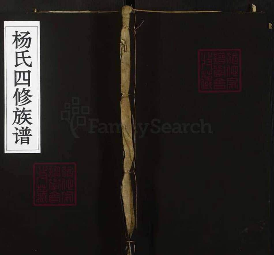 四川省南充市南部县杨氏四知堂族谱-杨氏四修族谱.pdf电子版缩略图