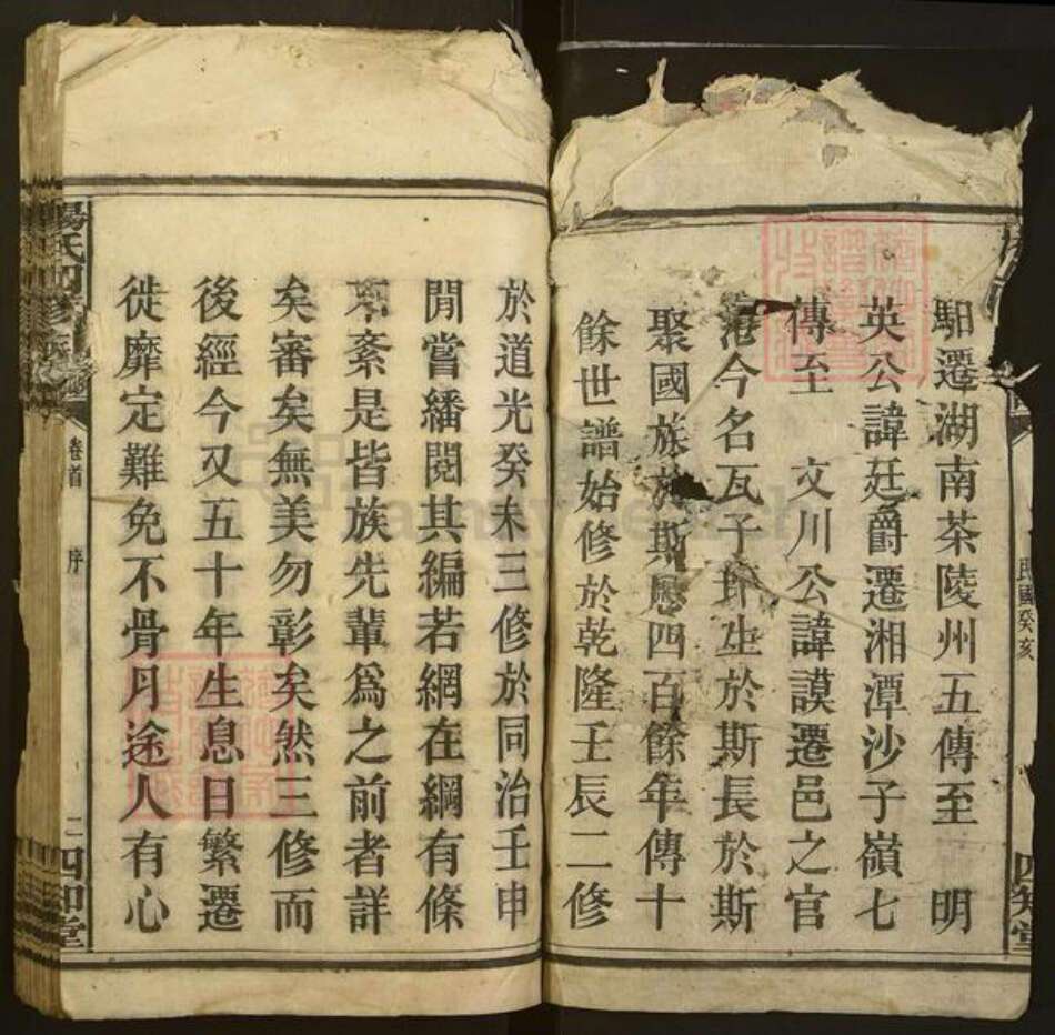 四川省南充市南部县杨氏四知堂族谱-杨氏四修族谱.pdf电子版预览图2