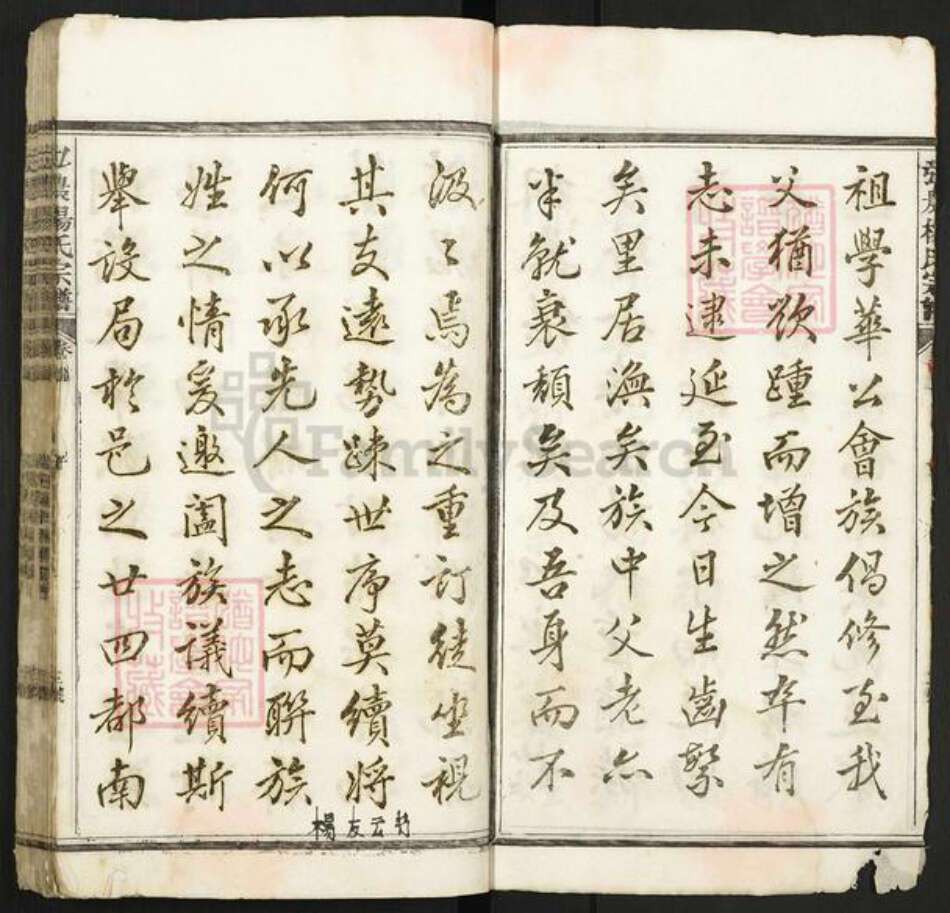 江西省上饶市玉山县怀玉乡杨氏族谱-弘农杨氏宗谱.pdf电子版预览图5