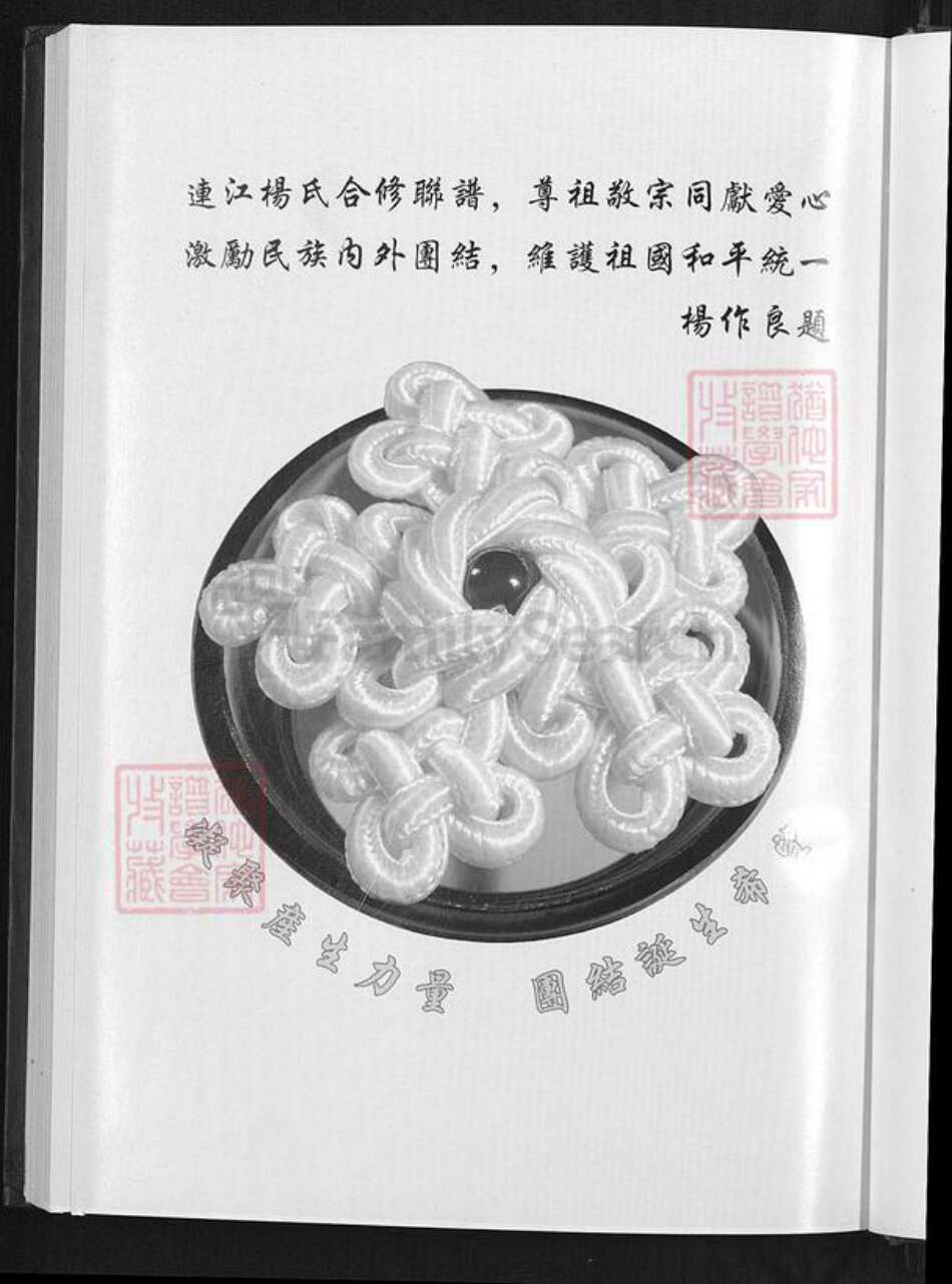福建省福州市连江县琯头镇杨氏四知堂族谱-连江县阳岐杨氏族谱.pdf电子版预览图3