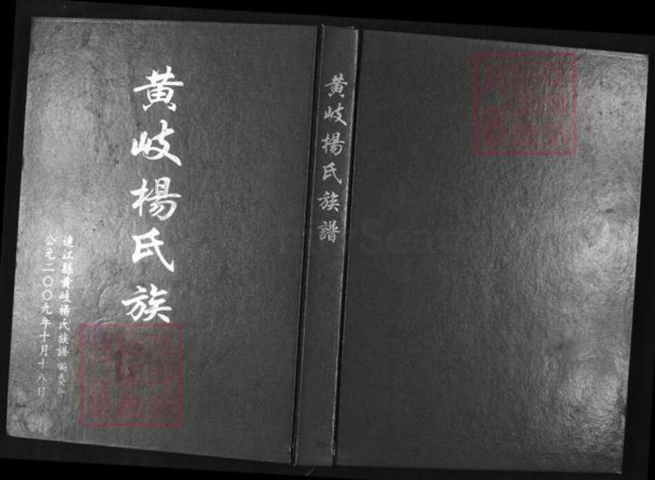 福建省杨氏族谱-黄岐杨氏族谱.pdf电子版缩略图