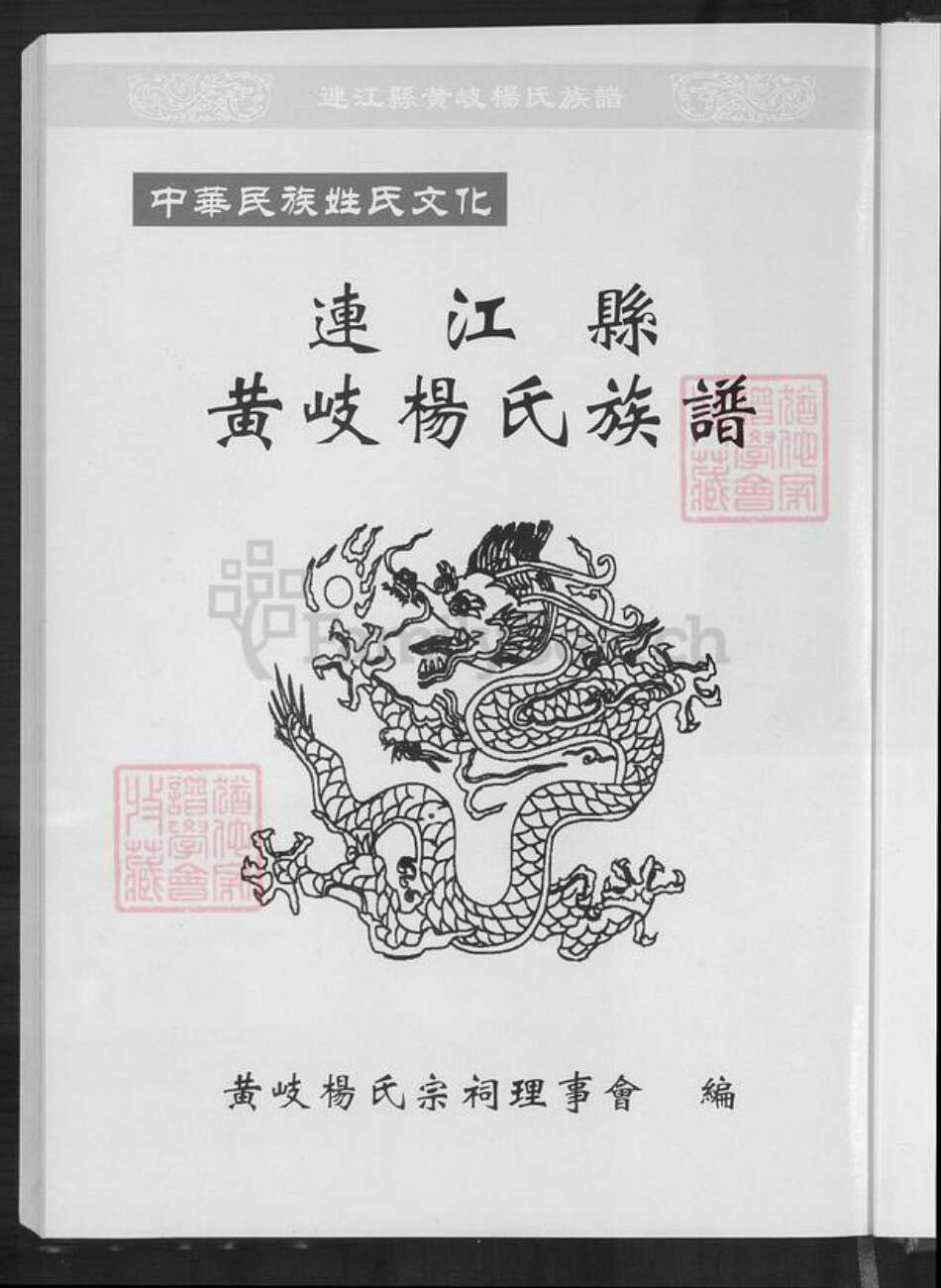 福建省杨氏族谱-黄岐杨氏族谱.pdf电子版预览图1