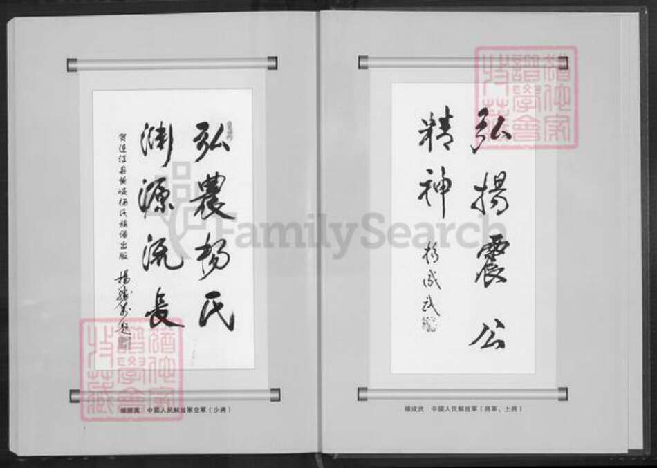 福建省杨氏族谱-黄岐杨氏族谱.pdf电子版预览图4