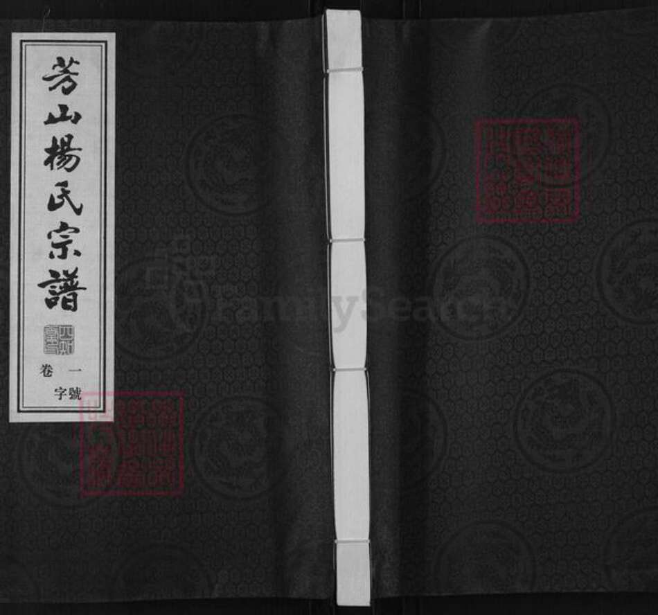 江苏省常州市武进县杨氏四知堂族谱-芳山杨氏宗谱.pdf电子版缩略图