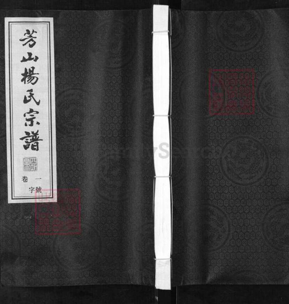 江苏省常州市武进县杨氏四知堂族谱-芳山杨氏宗谱.pdf电子版缩略图