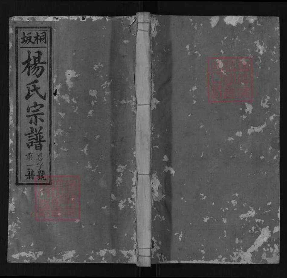 江西省上饶市广丰区同凡杨氏四知堂族谱-桐坂杨氏宗谱.pdf电子版缩略图