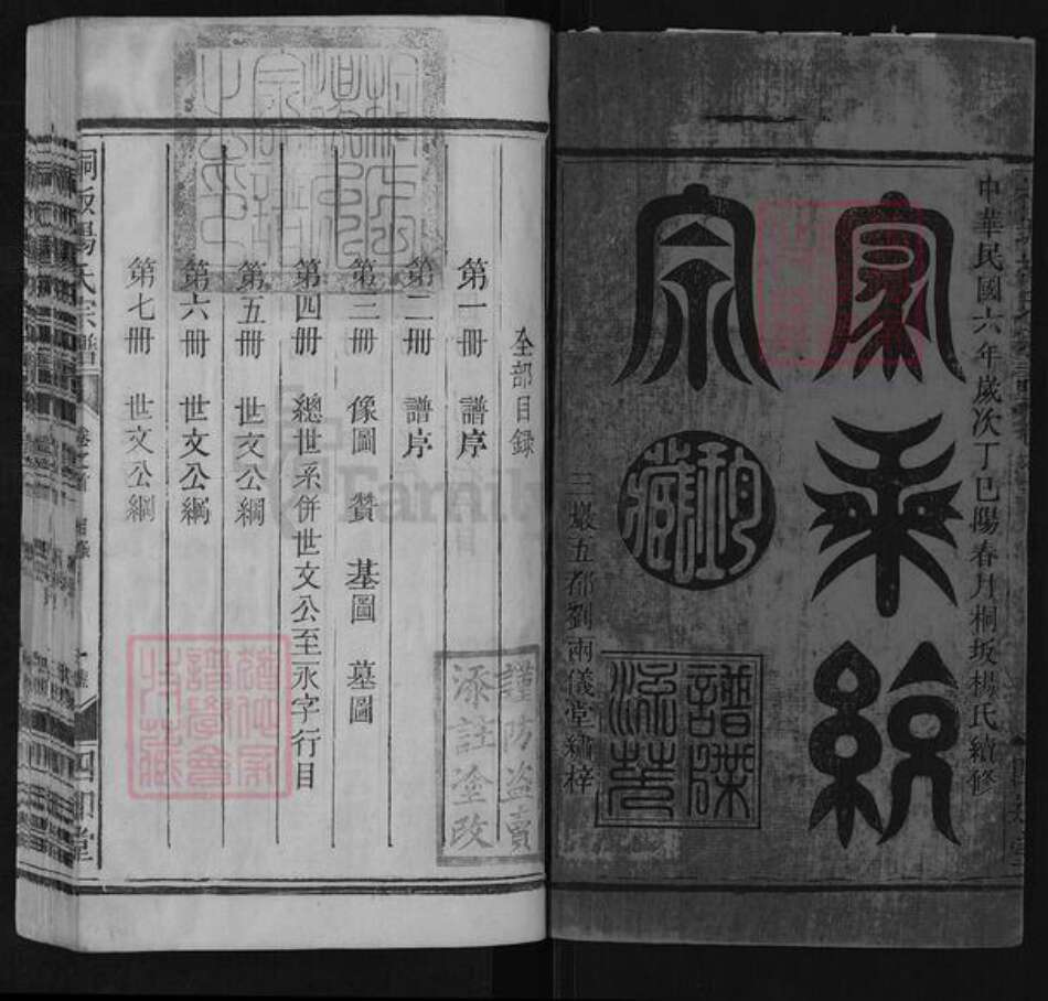 江西省上饶市广丰区同凡杨氏四知堂族谱-桐坂杨氏宗谱.pdf电子版预览图1