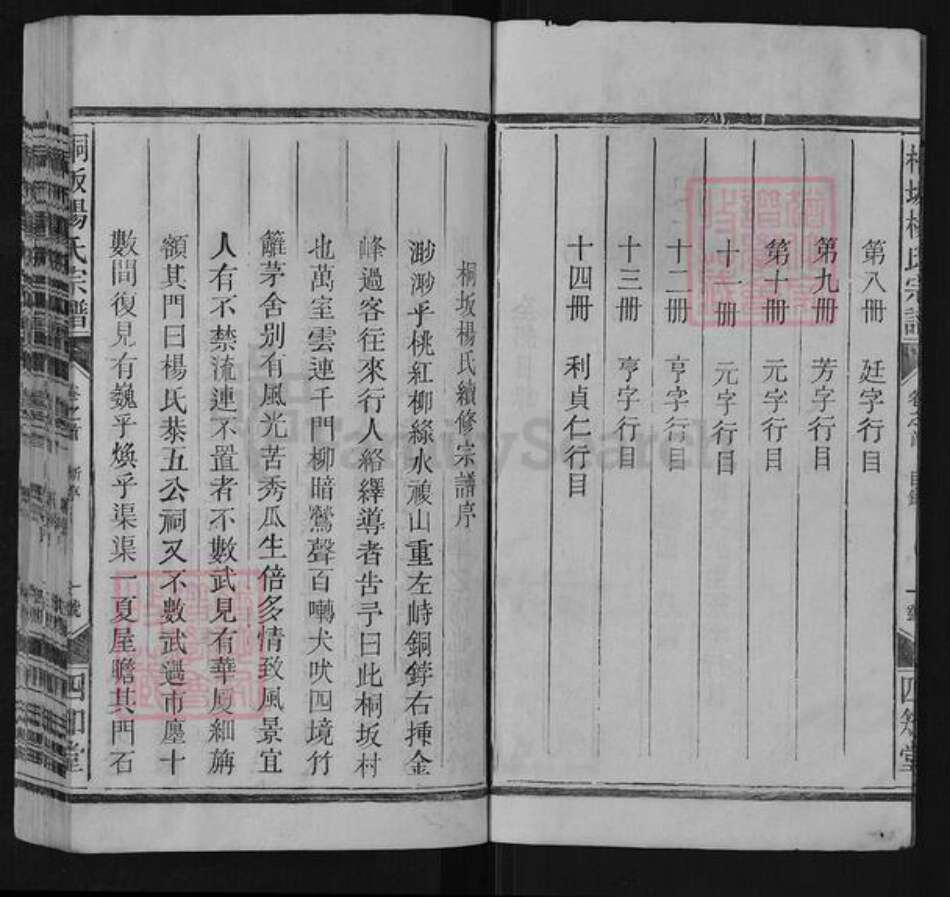 江西省上饶市广丰区同凡杨氏四知堂族谱-桐坂杨氏宗谱.pdf电子版预览图2