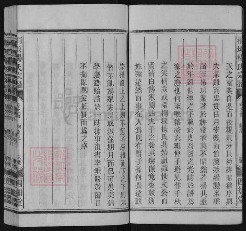 江西省上饶市广丰区同凡杨氏四知堂族谱-桐坂杨氏宗谱.pdf电子版预览图4