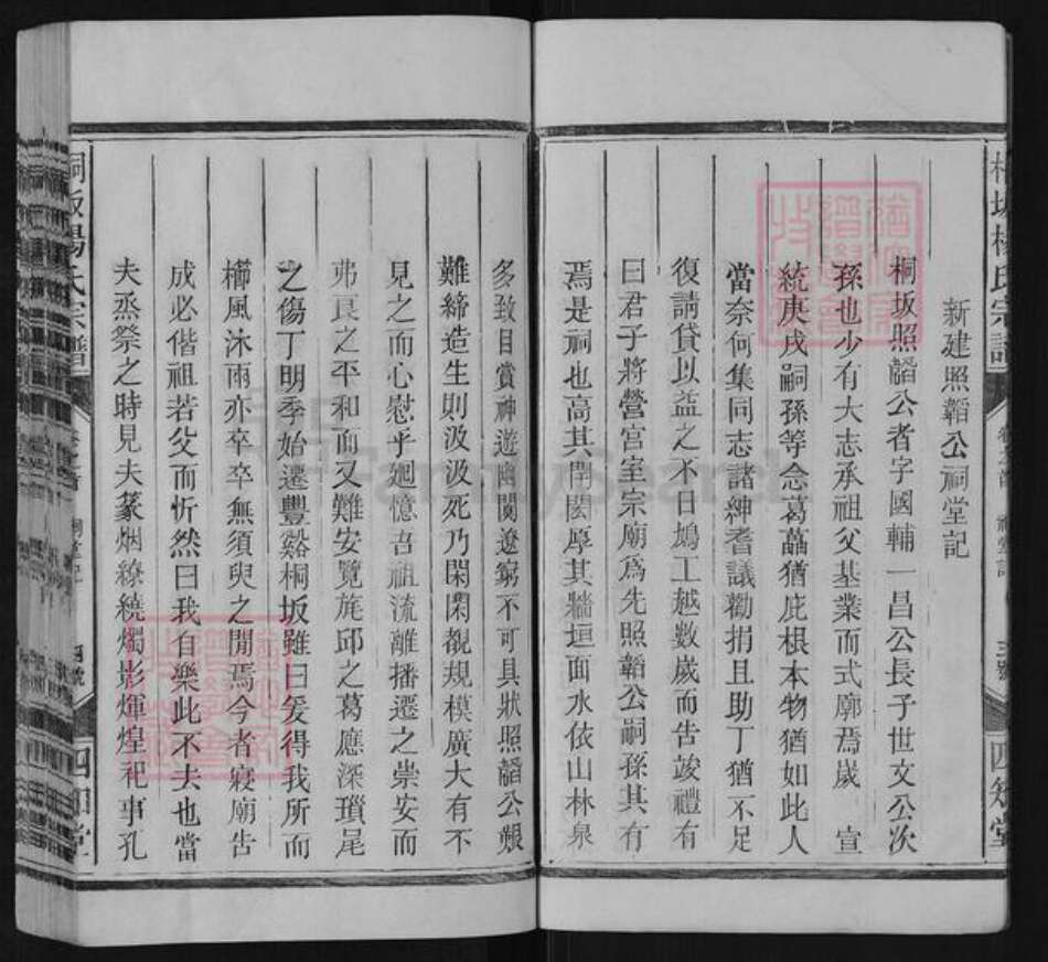 江西省上饶市广丰区同凡杨氏四知堂族谱-桐坂杨氏宗谱.pdf电子版预览图5