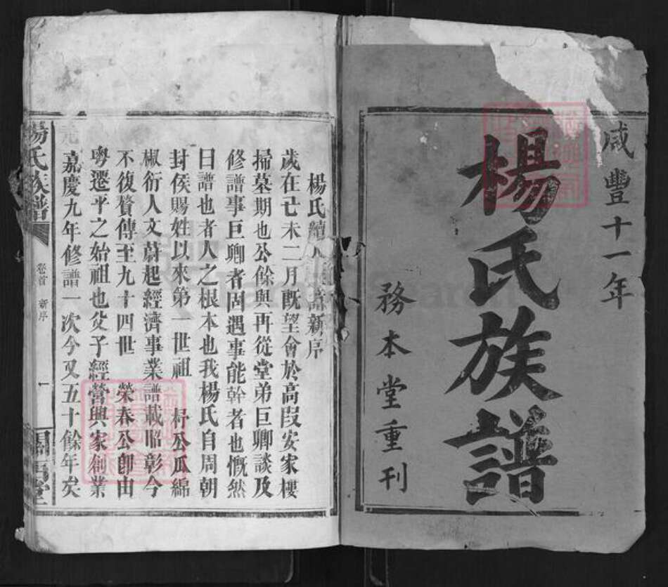 湖南省岳阳市平江县杨氏关西堂族谱-杨氏族谱.pdf电子版预览图1