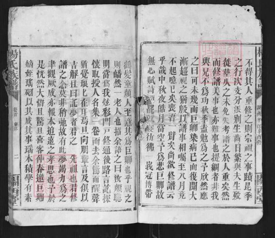 湖南省岳阳市平江县杨氏关西堂族谱-杨氏族谱.pdf电子版预览图2