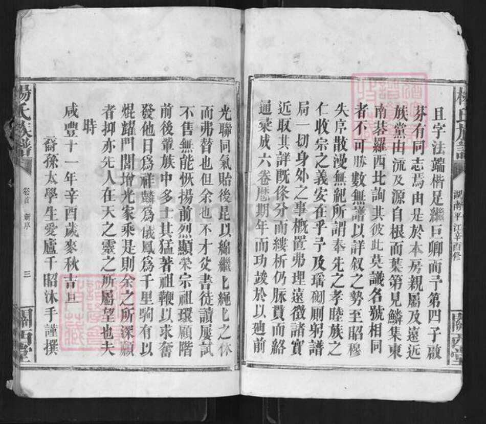 湖南省岳阳市平江县杨氏关西堂族谱-杨氏族谱.pdf电子版预览图3