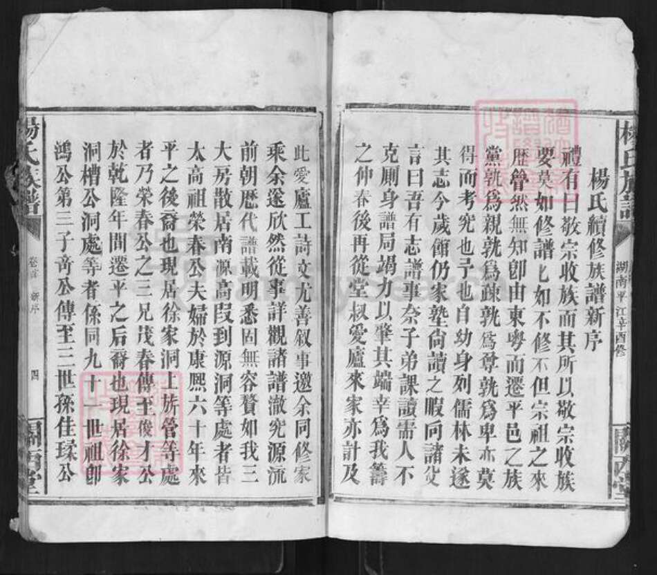 湖南省岳阳市平江县杨氏关西堂族谱-杨氏族谱.pdf电子版预览图4