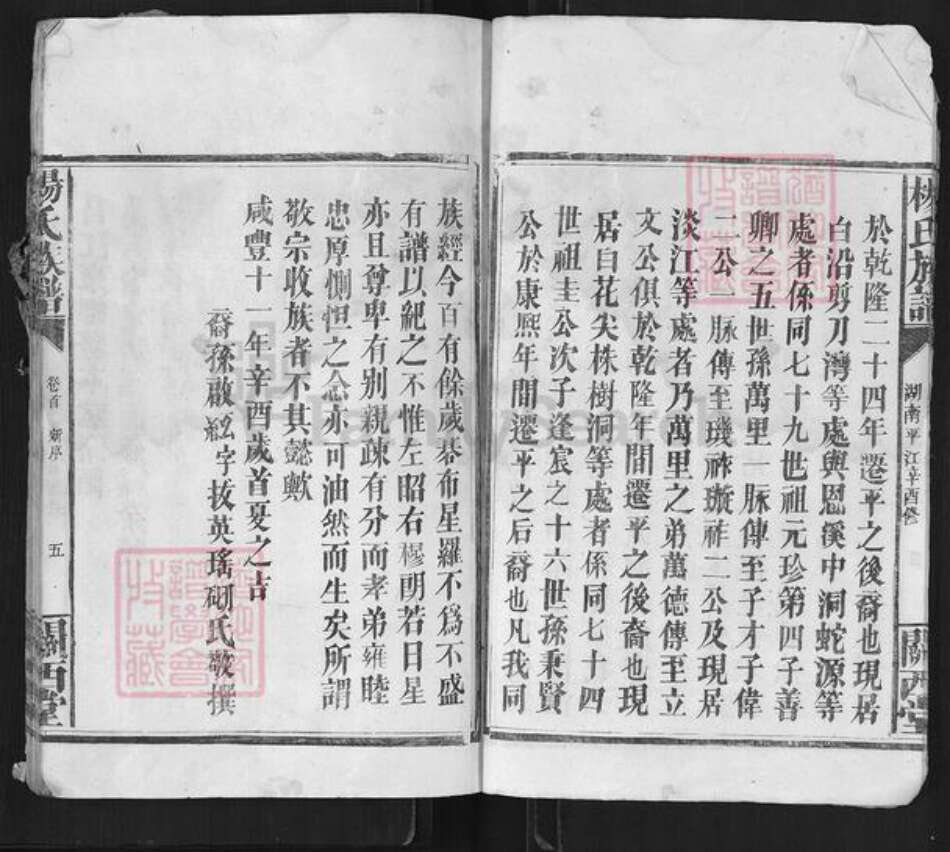 湖南省岳阳市平江县杨氏关西堂族谱-杨氏族谱.pdf电子版预览图5