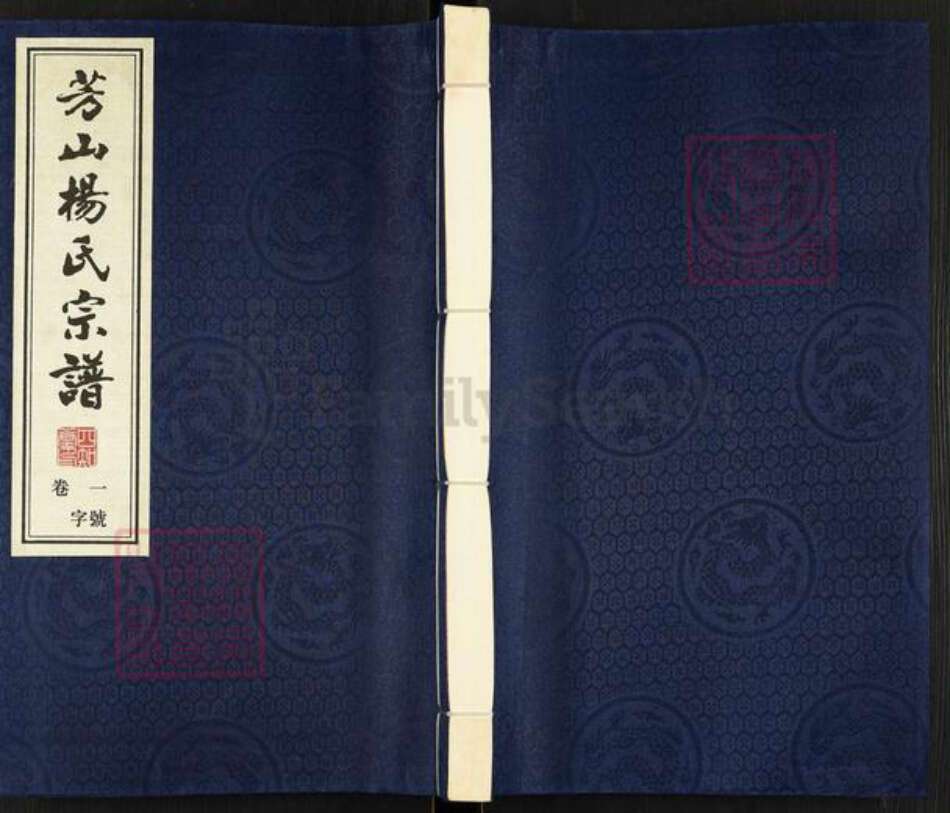 江苏省常州市武进县杨氏四知堂族谱-芳山杨氏宗谱.pdf电子版缩略图