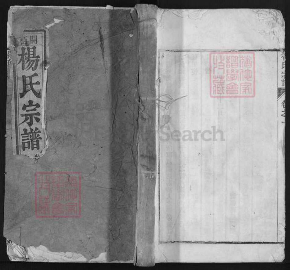 安徽省宣城市宣州区杨氏族谱-杨氏宗谱.pdf电子版缩略图