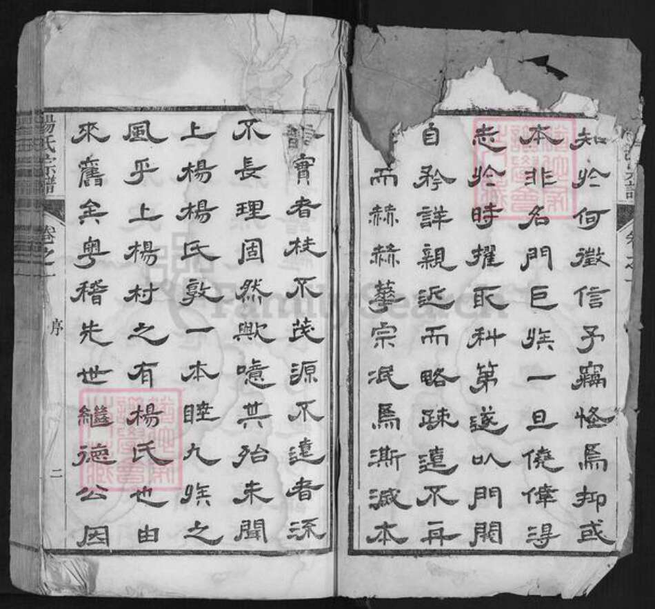 安徽省宣城市宣州区杨氏族谱-杨氏宗谱.pdf电子版预览图3