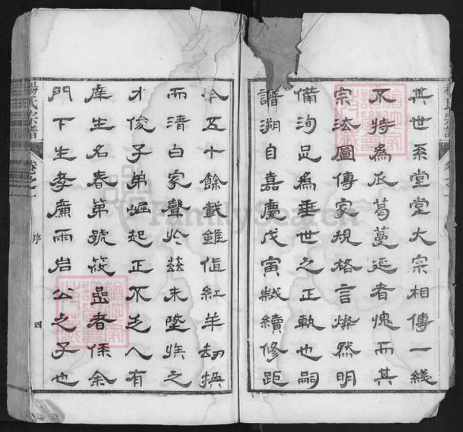 安徽省宣城市宣州区杨氏族谱-杨氏宗谱.pdf电子版预览图5