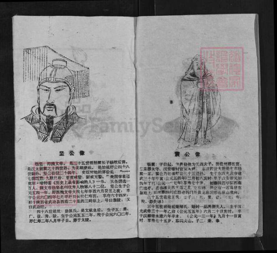 湖南省邵阳市邵东杨氏三鳣堂族谱-邵东新桥杨氏五修族谱.pdf电子版预览图2