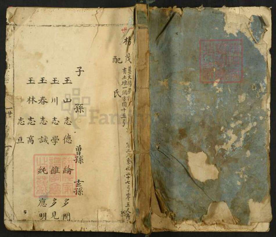 河南省安阳市林州市东姚镇杨氏族谱-杨氏家谱.pdf电子版缩略图