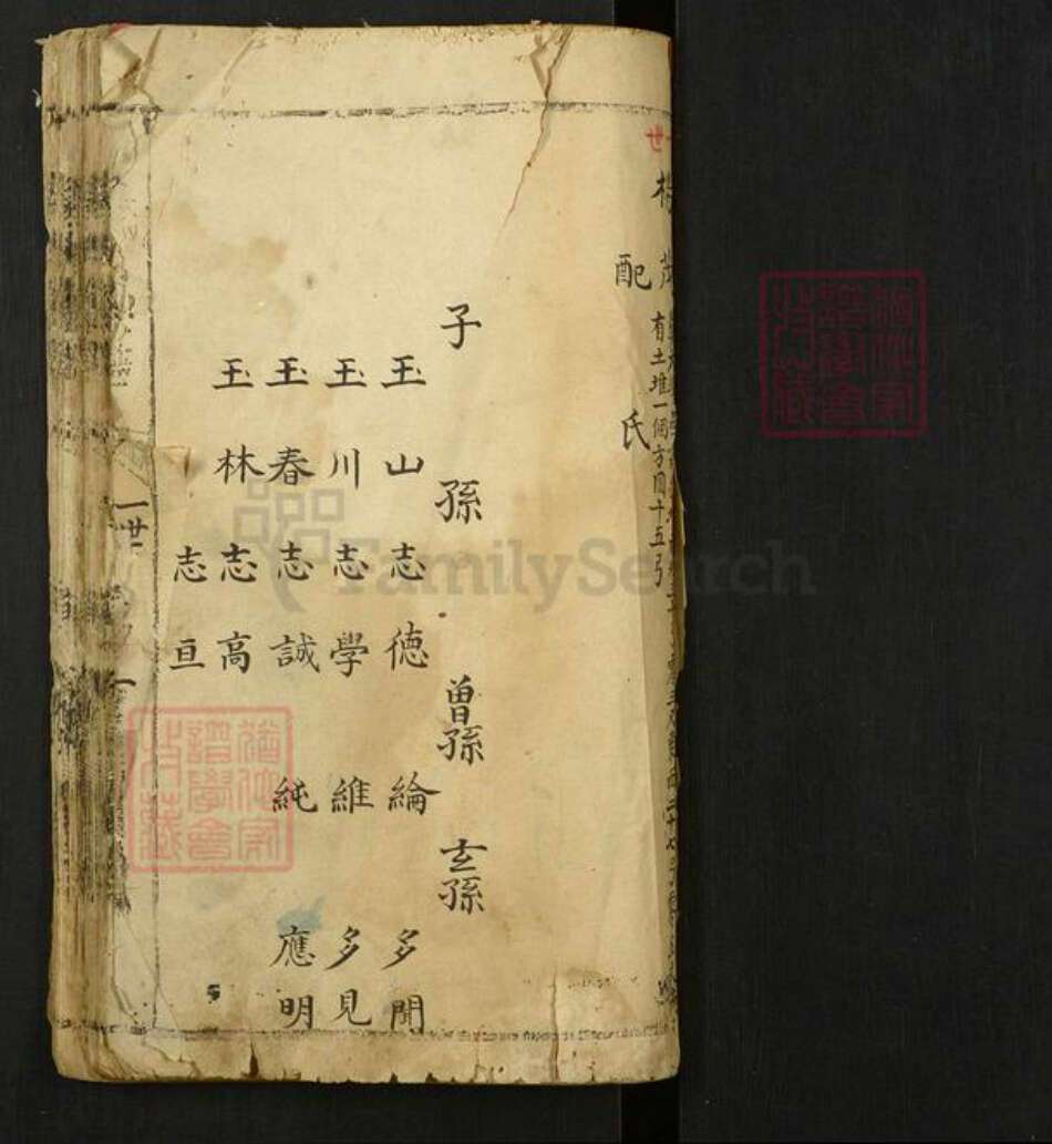 河南省安阳市林州市东姚镇杨氏族谱-杨氏家谱.pdf电子版预览图1