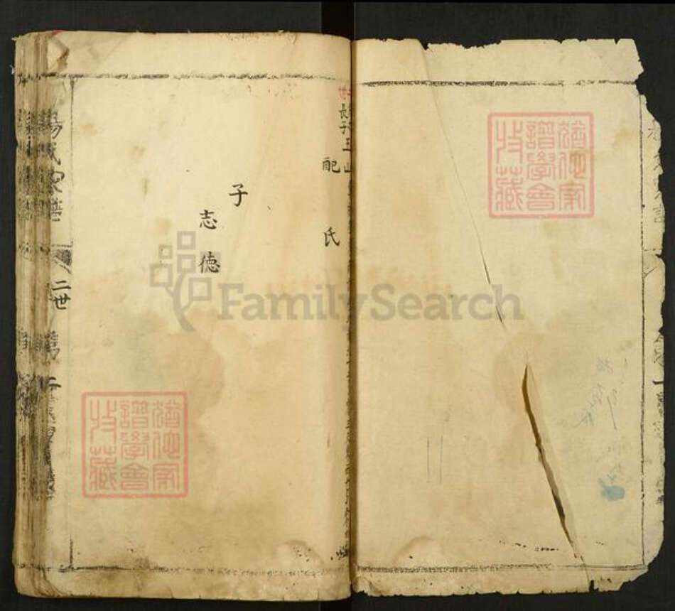 河南省安阳市林州市东姚镇杨氏族谱-杨氏家谱.pdf电子版预览图2