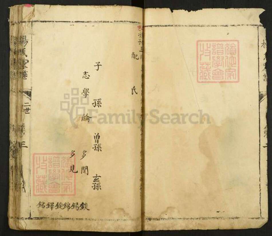 河南省安阳市林州市东姚镇杨氏族谱-杨氏家谱.pdf电子版预览图3