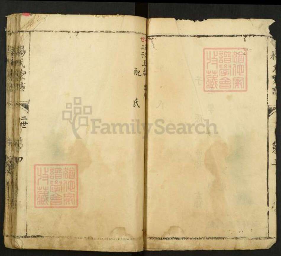 河南省安阳市林州市东姚镇杨氏族谱-杨氏家谱.pdf电子版预览图4