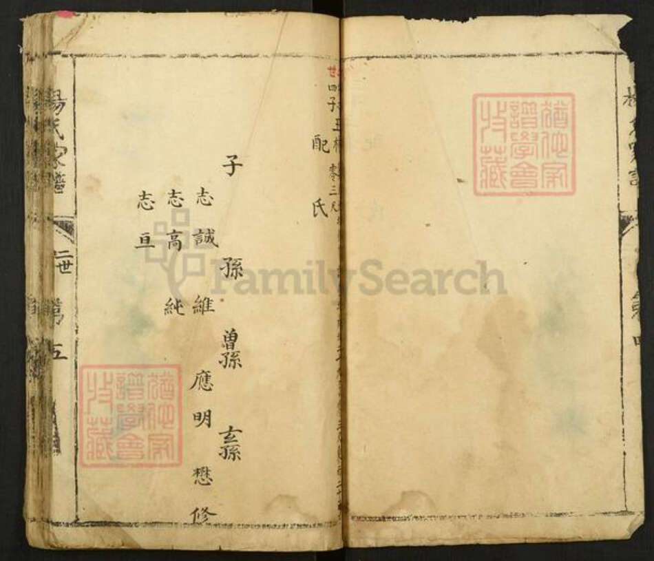 河南省安阳市林州市东姚镇杨氏族谱-杨氏家谱.pdf电子版预览图5