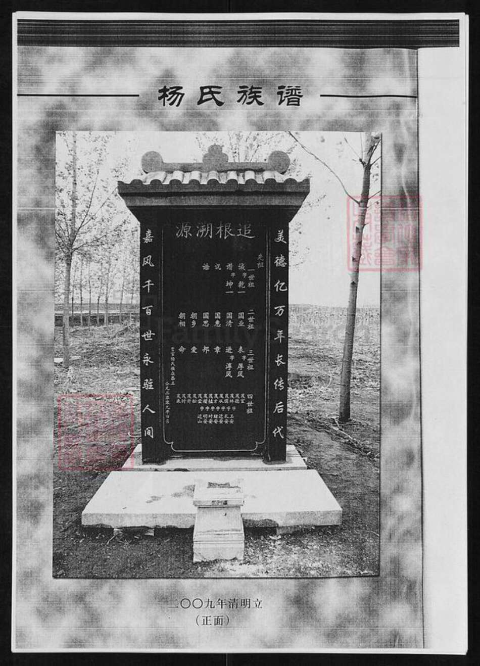 山东省临沂市河东区杨氏族谱-杨氏族谱.pdf电子版预览图3