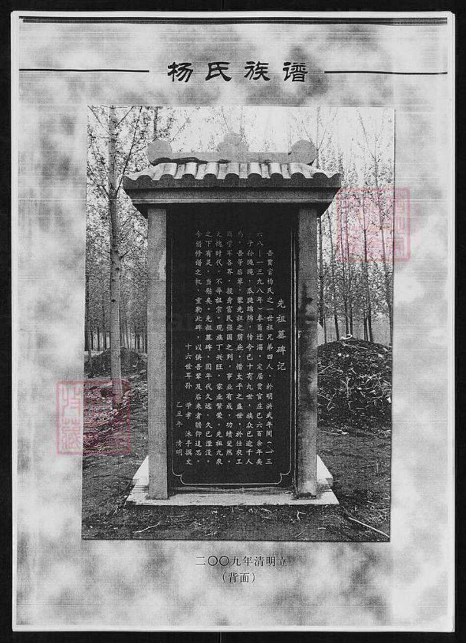 山东省临沂市河东区杨氏族谱-杨氏族谱.pdf电子版预览图4