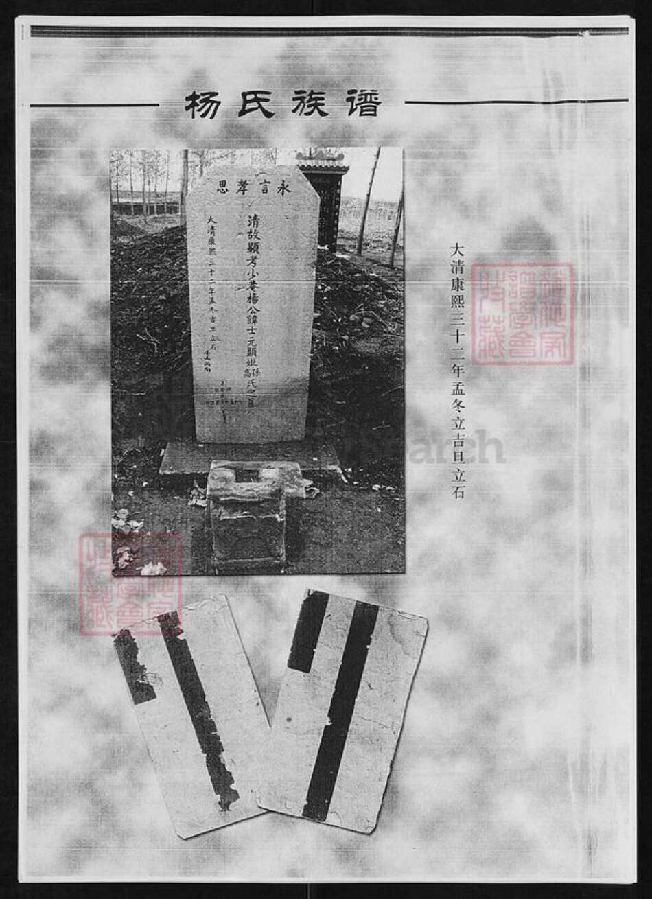 山东省临沂市河东区杨氏族谱-杨氏族谱.pdf电子版预览图5