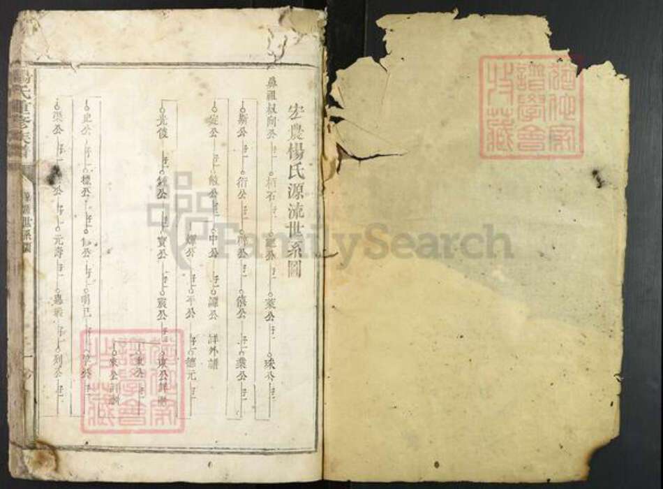 江西省赣州市宁都县杨氏族谱-杨氏重修族谱.pdf电子版预览图1