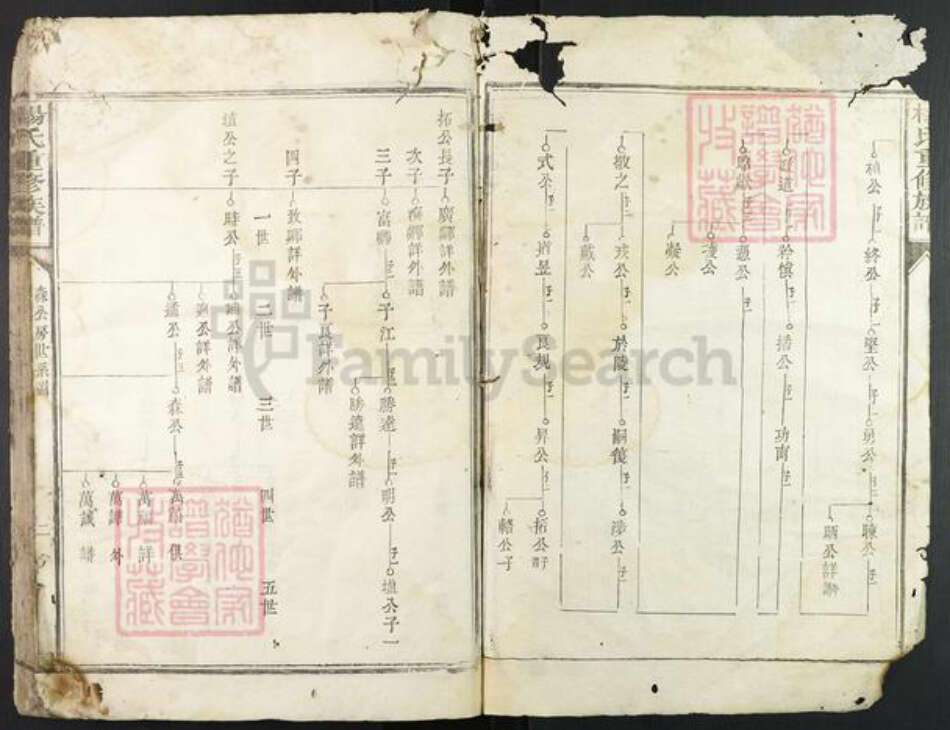 江西省赣州市宁都县杨氏族谱-杨氏重修族谱.pdf电子版预览图2