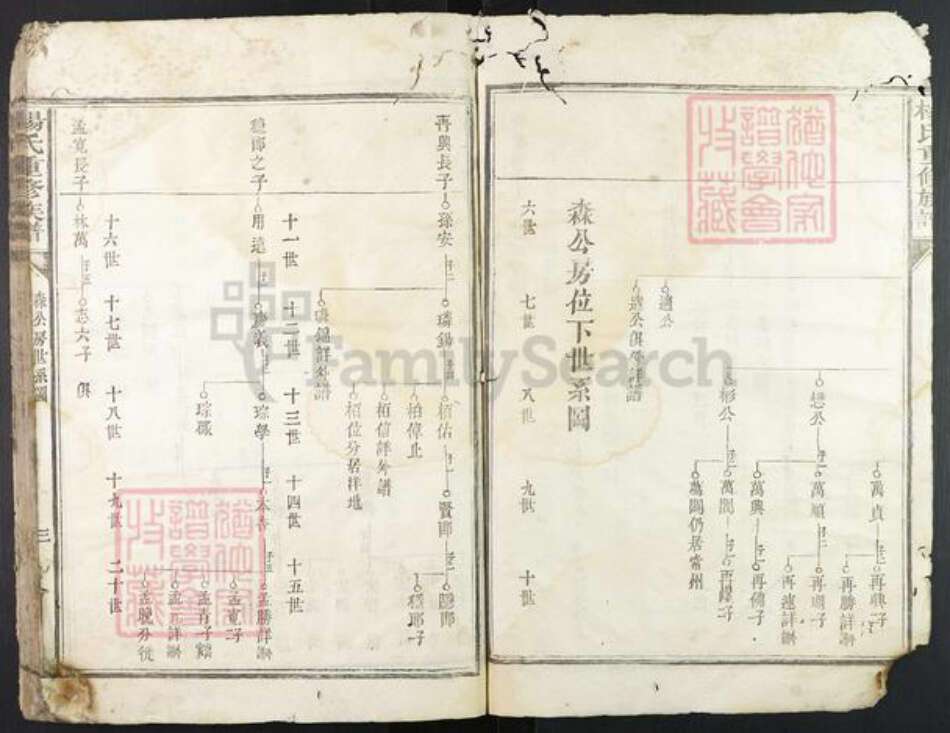 江西省赣州市宁都县杨氏族谱-杨氏重修族谱.pdf电子版预览图3