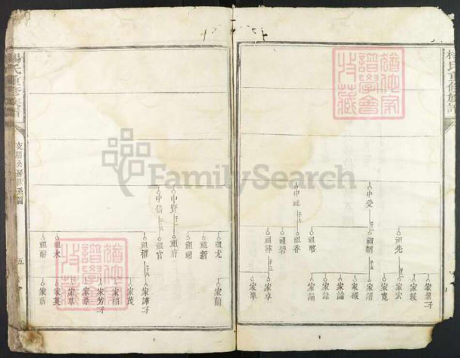 江西省赣州市宁都县杨氏族谱-杨氏重修族谱.pdf电子版预览图5