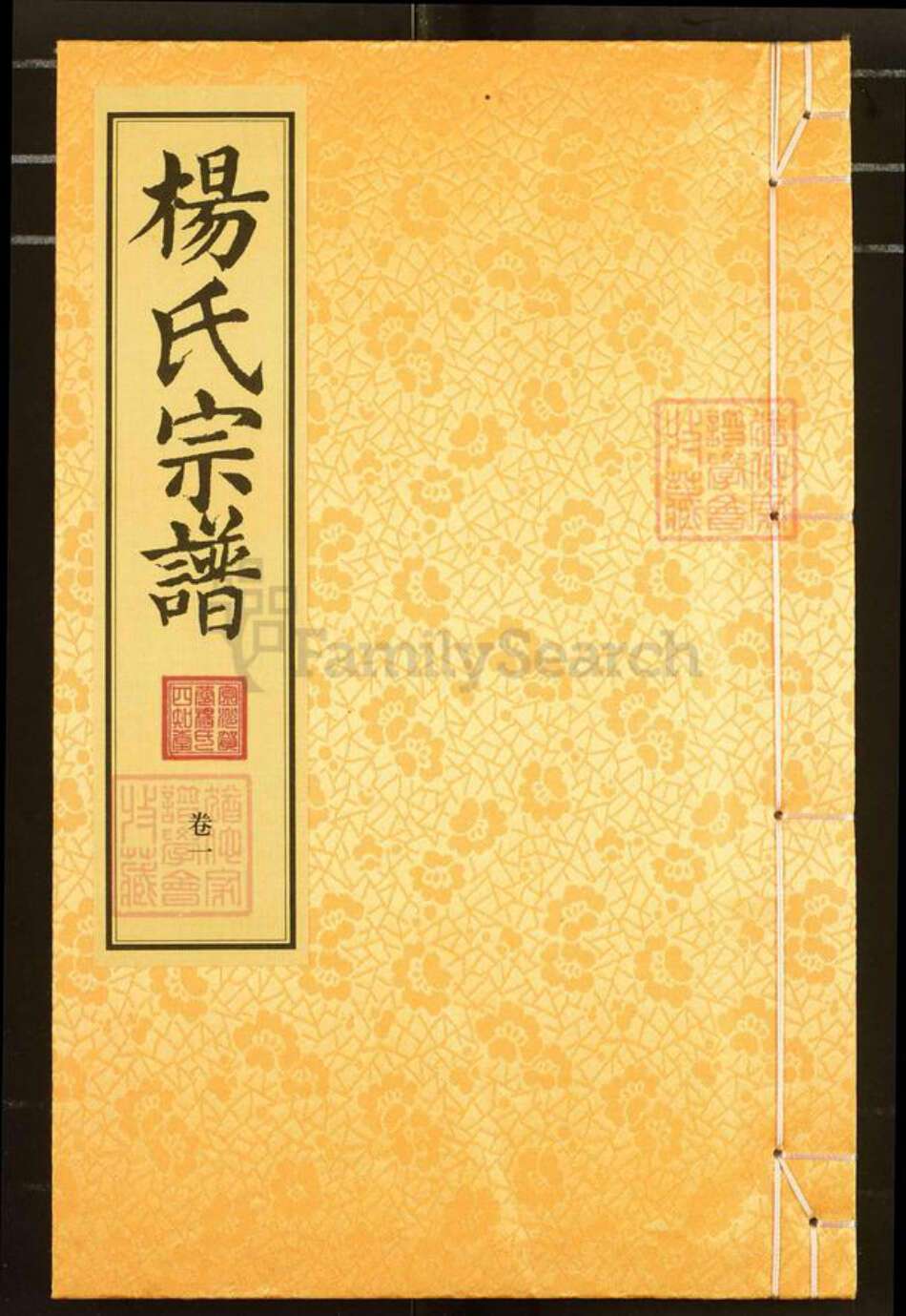 福建省南平市浦城县杨氏四知堂族谱-杨氏宗谱.pdf电子版缩略图