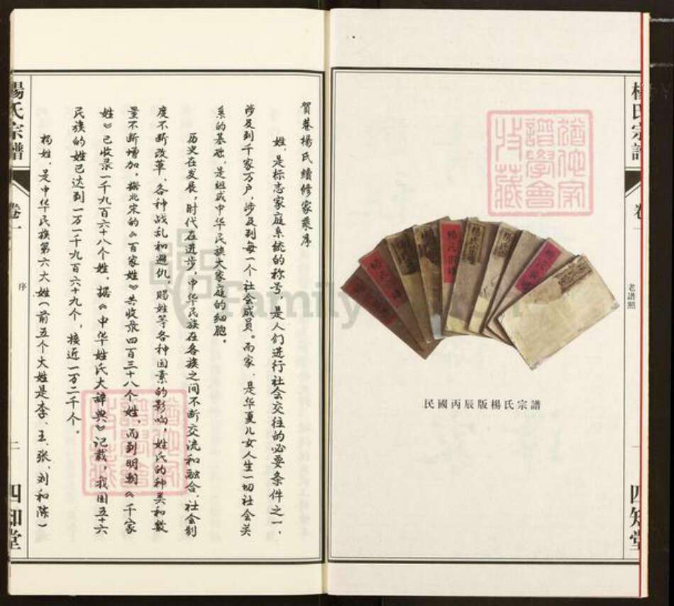 福建省南平市浦城县杨氏四知堂族谱-杨氏宗谱.pdf电子版预览图3