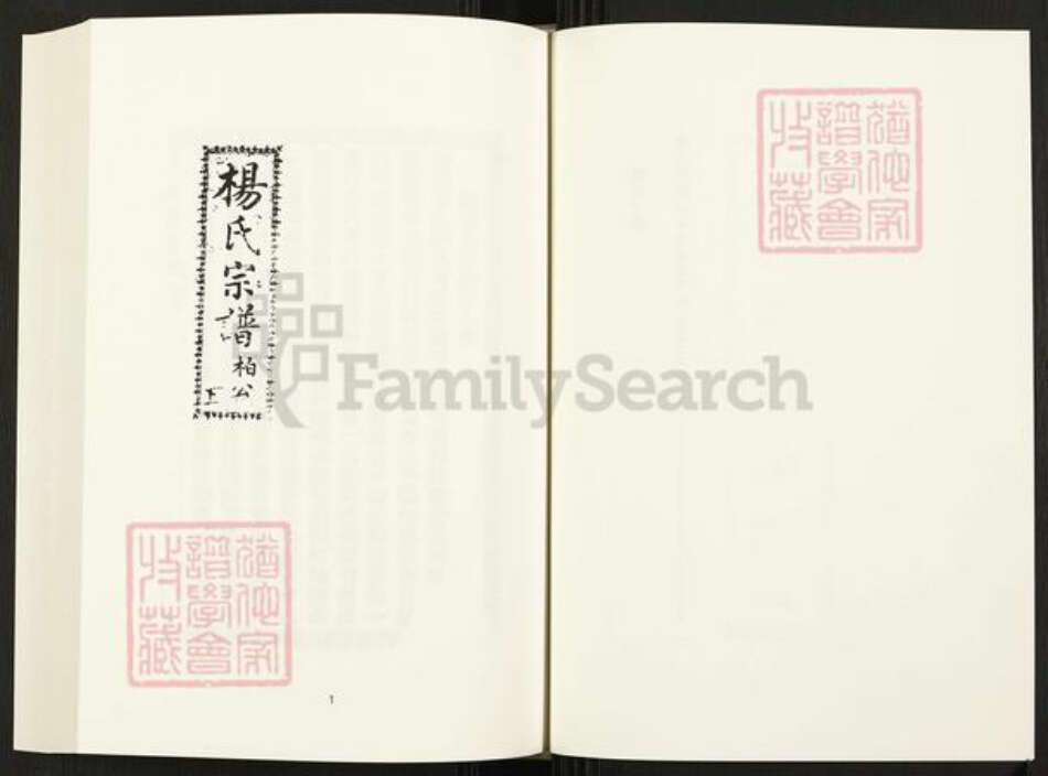 四川省四川省杨氏族谱-中国珍稀家谱丛刊.四川家谱.第40册.杨氏宗谱.pdf电子版预览图3