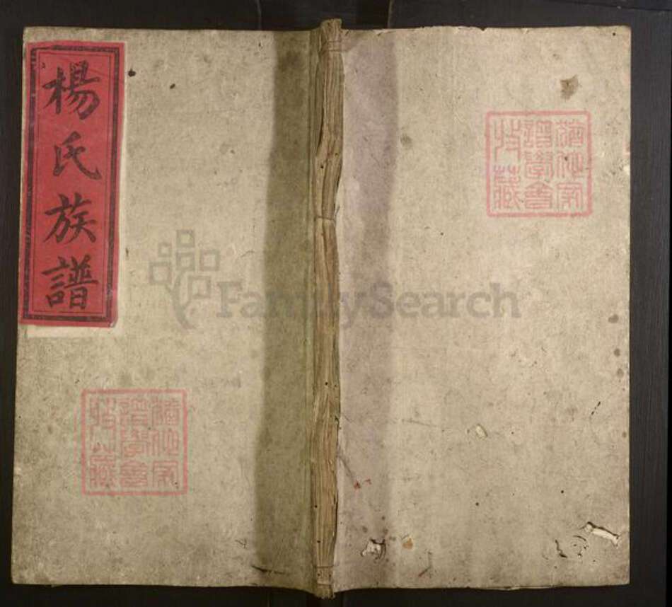 湖南省怀化市会同县杨氏族谱-杨氏族谱.pdf电子版缩略图