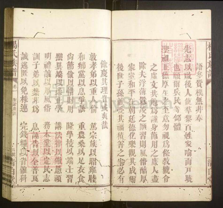 湖南省怀化市会同县杨氏族谱-杨氏族谱.pdf电子版预览图4