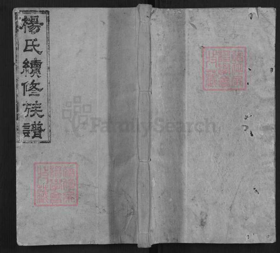 湖南省娄底市新化县杨氏族谱-杨氏续修族谱[不分卷].pdf电子版缩略图