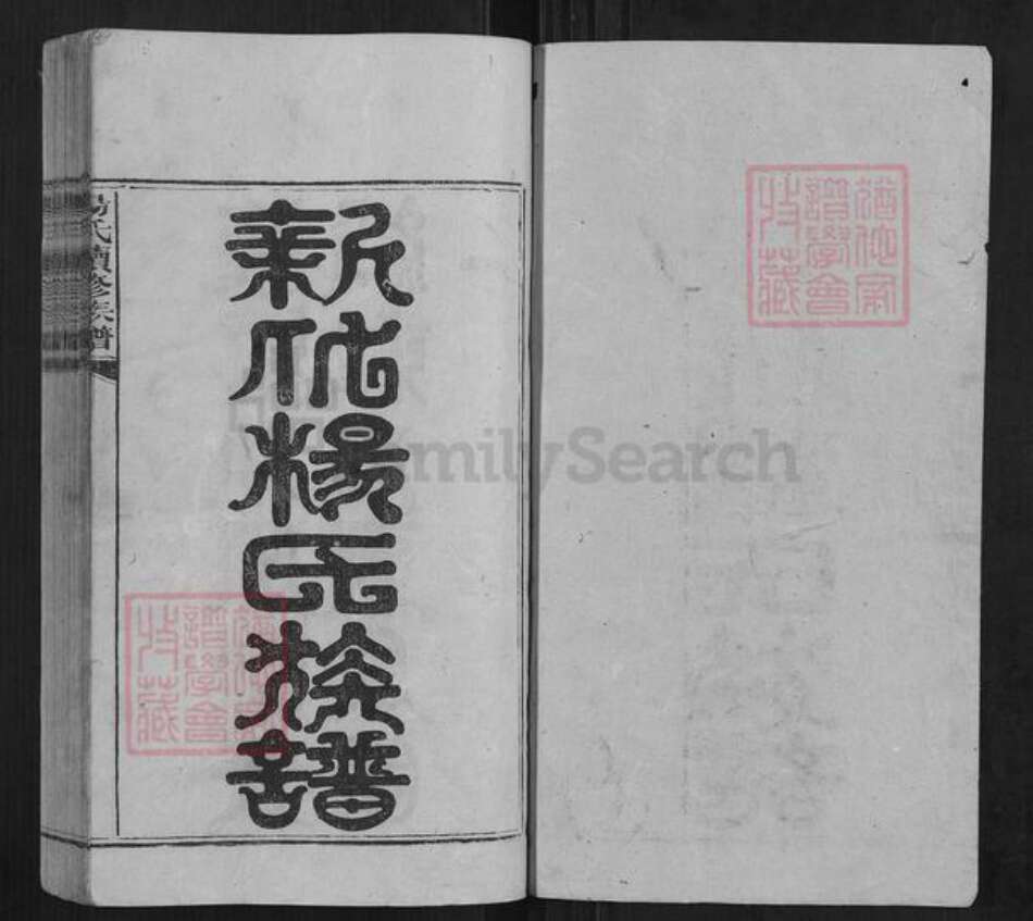 湖南省娄底市新化县杨氏族谱-杨氏续修族谱[不分卷].pdf电子版预览图1